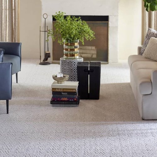 Living Room Pattern Carpet - CarpetsPlus COLORTILE of Bloomington in Bloomington, IL